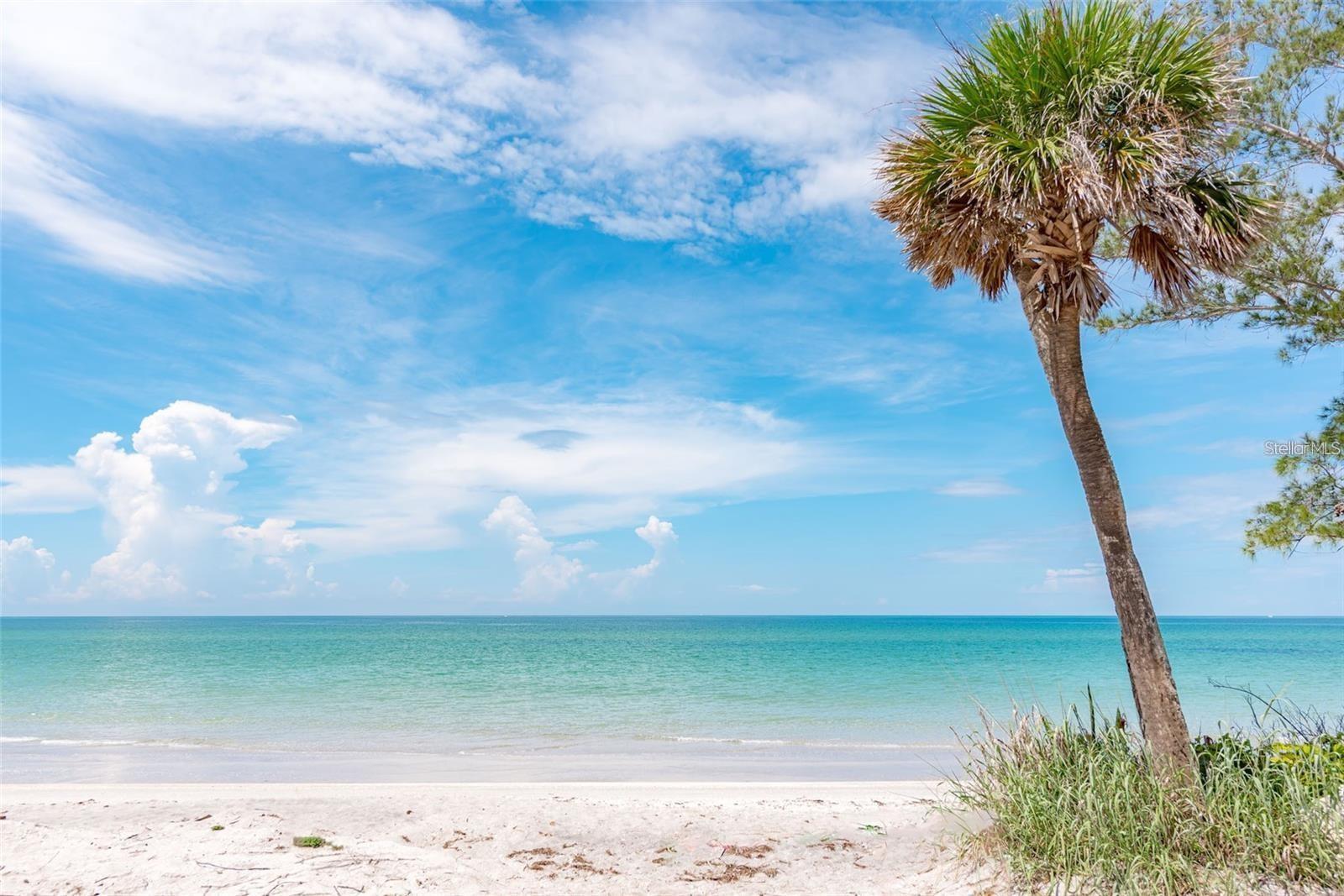 PINE LAKE DEV - Residential