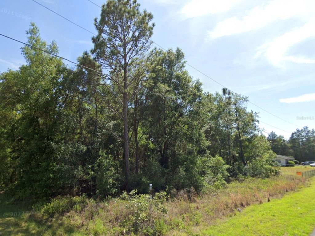 Photo of Tbd SW Beach Boulevard, Dunnellon, FL 34431 (MLS # OM722055)