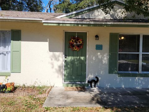 A home in ORANGE CITY