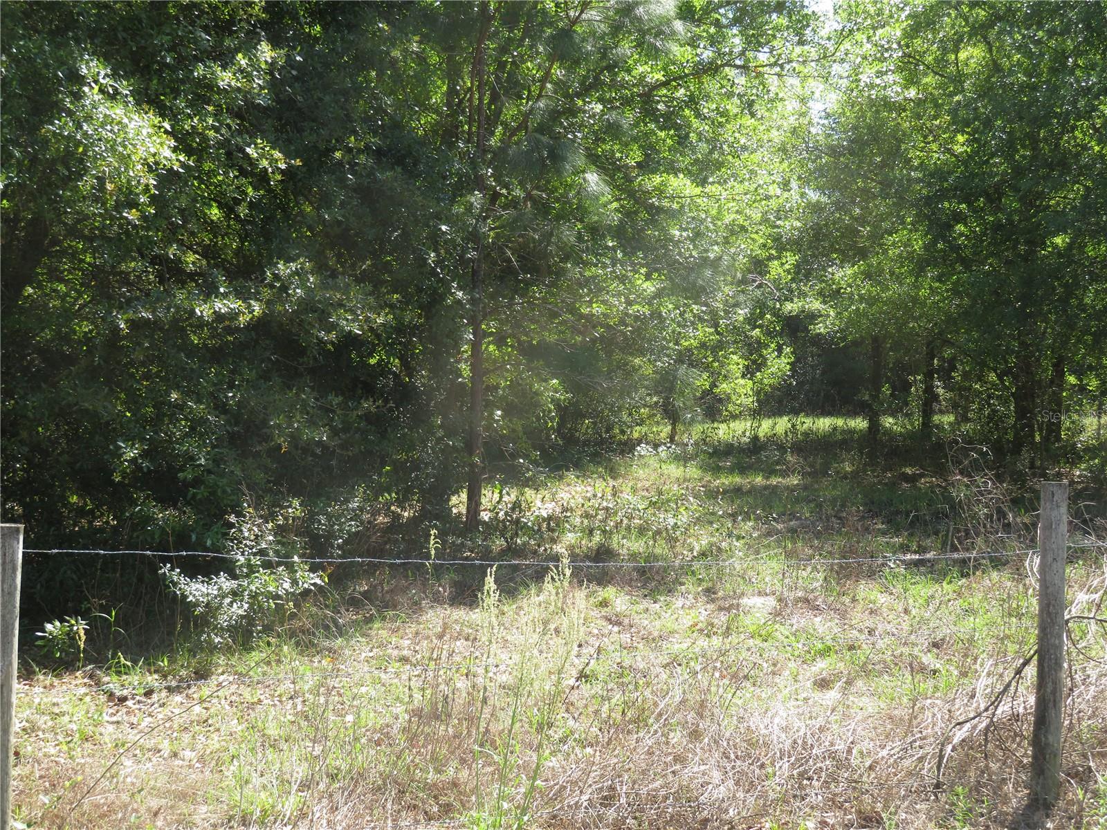 ROSEWOOD SOUTH - Land