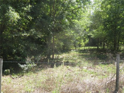  SAN ANTONIO FL 33576