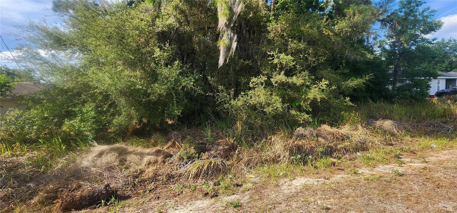 SILVER SPGS SHORES 18 - Land