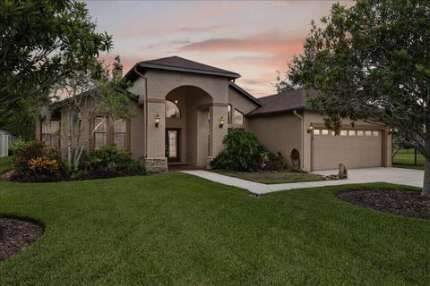 Photo of 6428 Barcellona Road, Land O Lakes, FL 34637 (MLS # TB8431079)