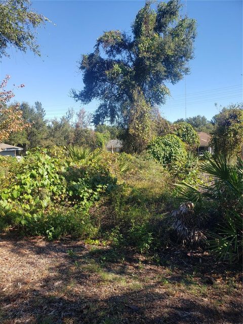 CHESTNUT AVENUE ORANGE CITY FL 32763