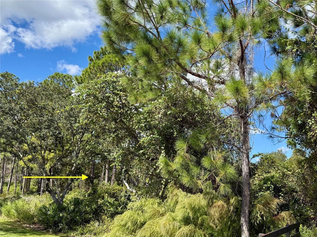 Photo of 11 Royal Trails Road, Eustis, FL 32726 (MLS # G5103697)