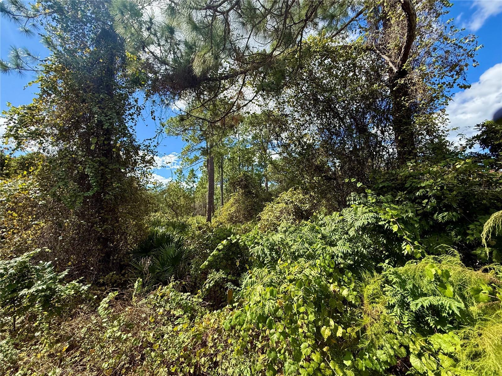 ROYAL TRAILS UNIT 01 - Land