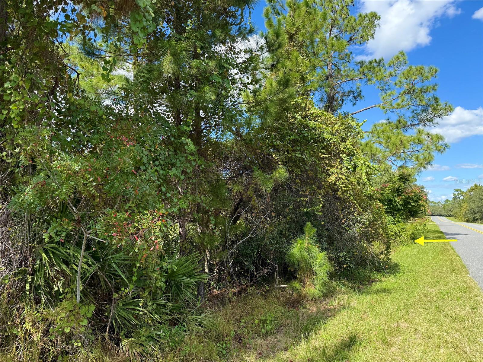 LOT 11 ROYAL TRAILS ROAD