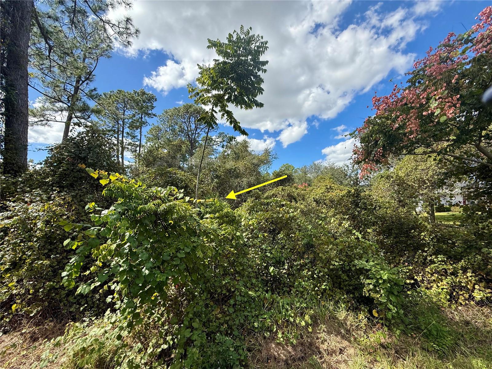 ROYAL TRAILS UNIT 01 - Land