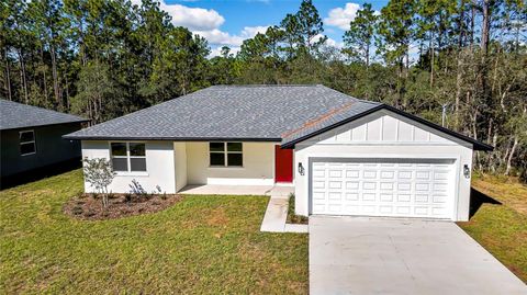 A home in CITRUS SPRINGS