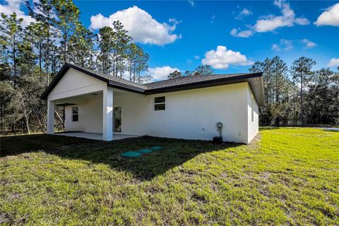 A home in CITRUS SPRINGS