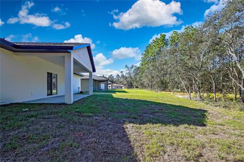 A home in CITRUS SPRINGS