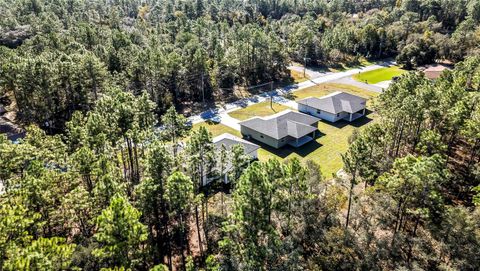 A home in CITRUS SPRINGS