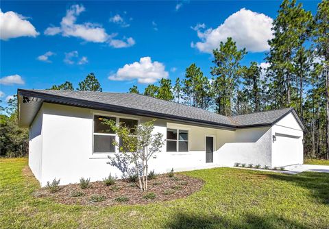 A home in CITRUS SPRINGS