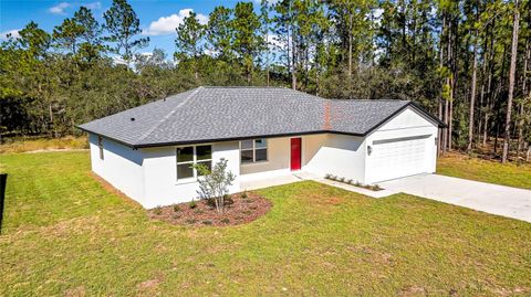 A home in CITRUS SPRINGS