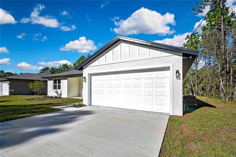 A home in CITRUS SPRINGS