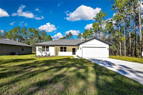 A home in CITRUS SPRINGS