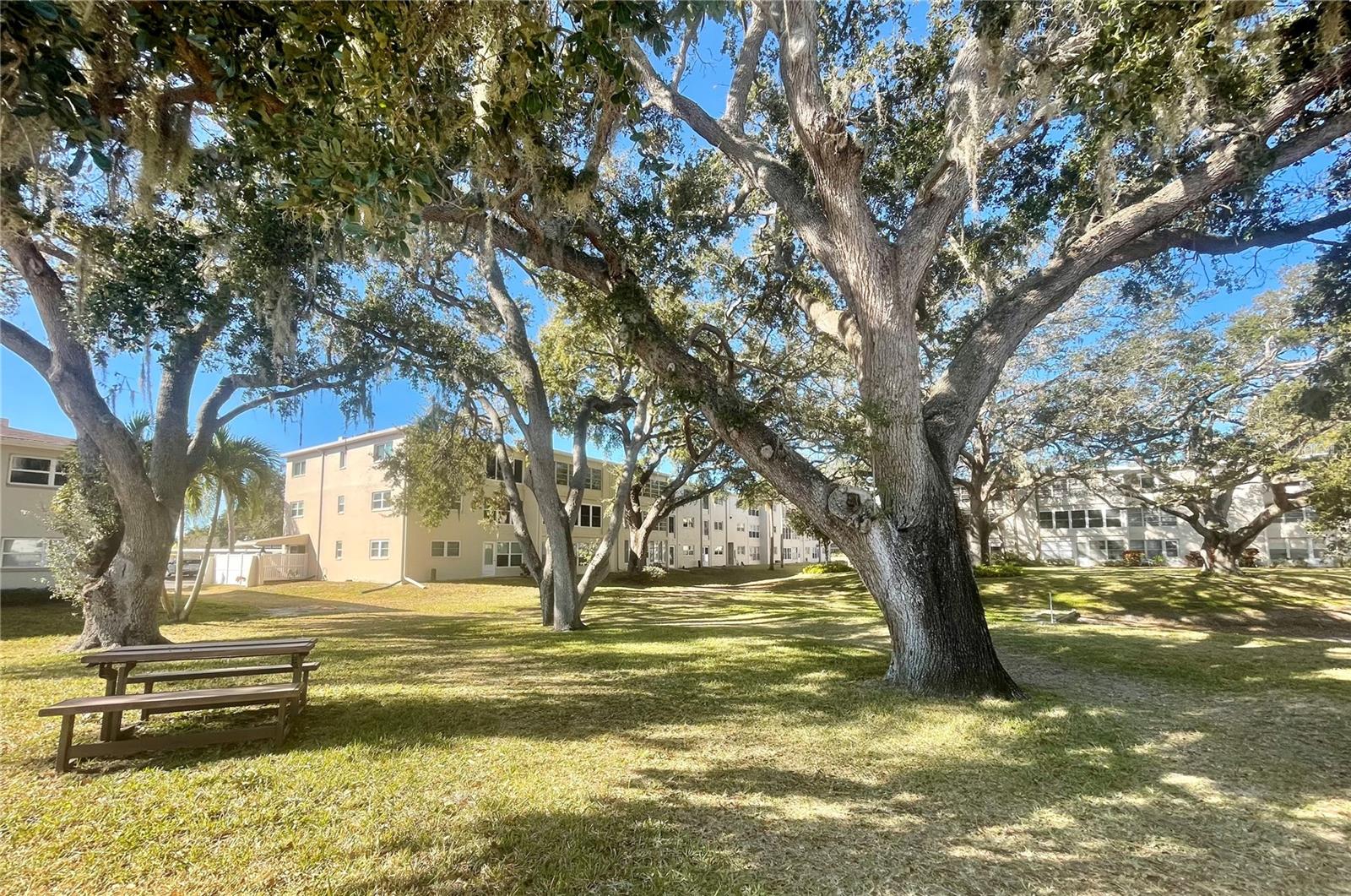 HEATHER LAKE APTS CONDO - Residential