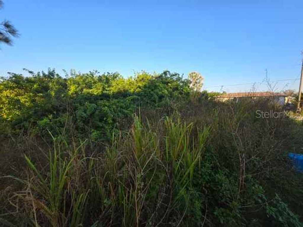 Photo of 3813 5th Street SW, Lehigh Acres, FL 33976 (MLS # L4959769)