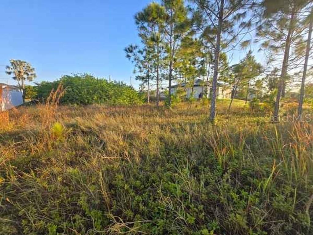 Photo of 3813 5th Street SW, Lehigh Acres, FL 33976 (MLS # L4959769)