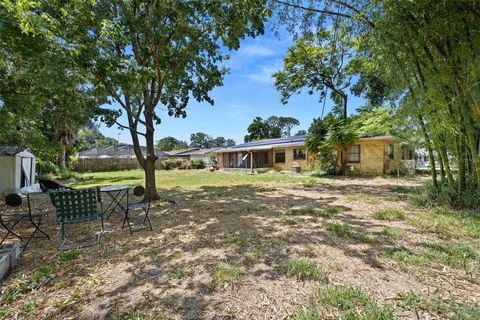 A home in MOUNT DORA