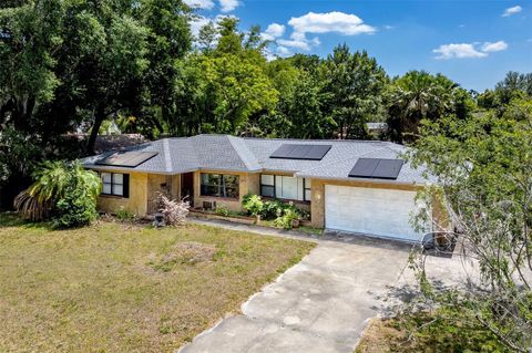 A home in MOUNT DORA