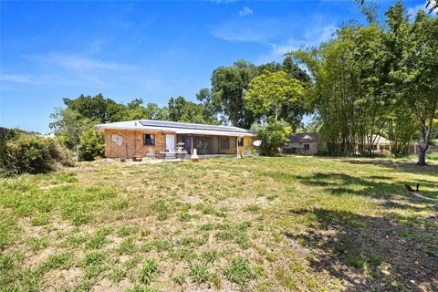 A home in MOUNT DORA