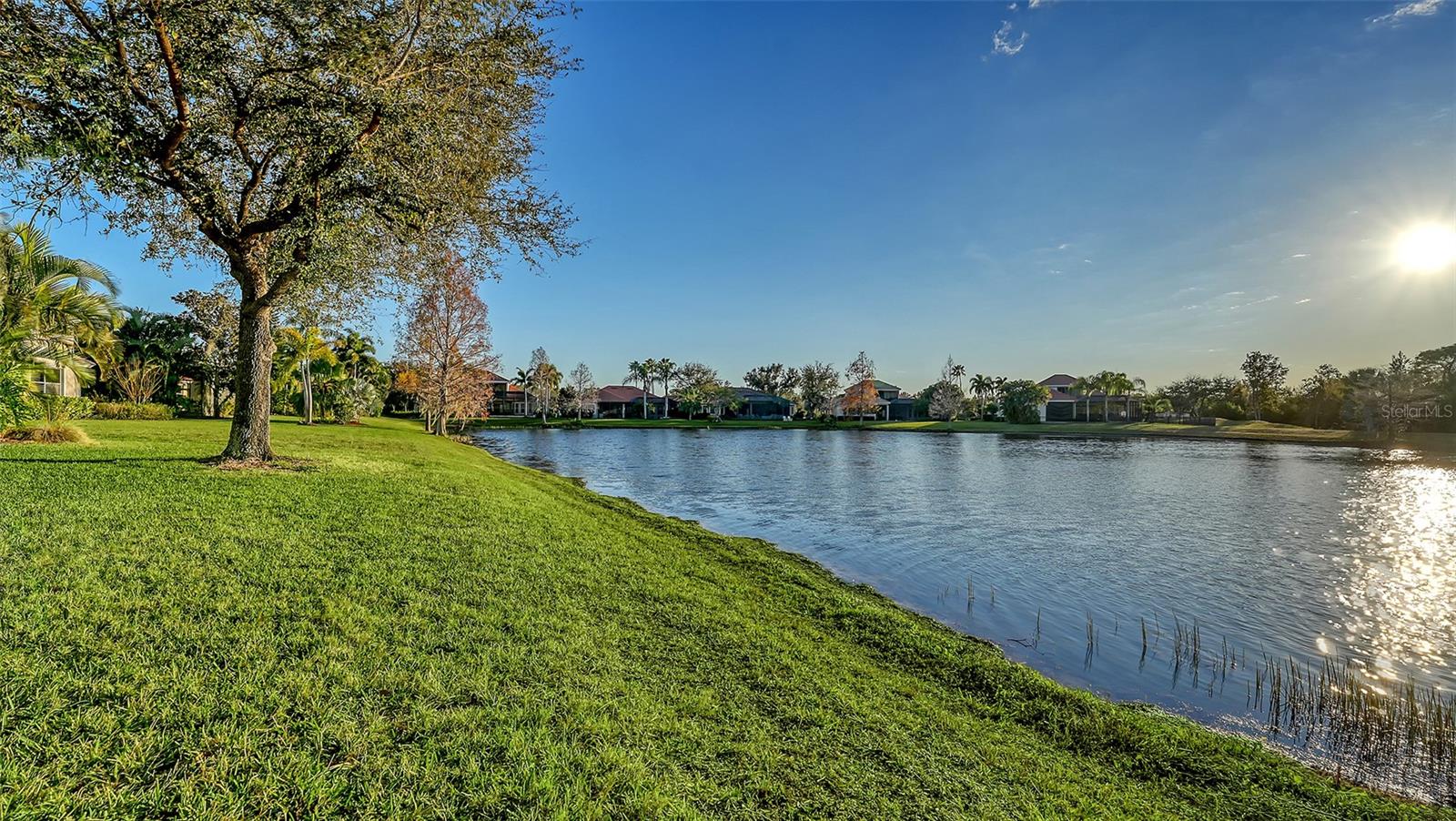 LAKEWOOD RANCH COUNTRY CLUB VILLAGE M&N - Residential