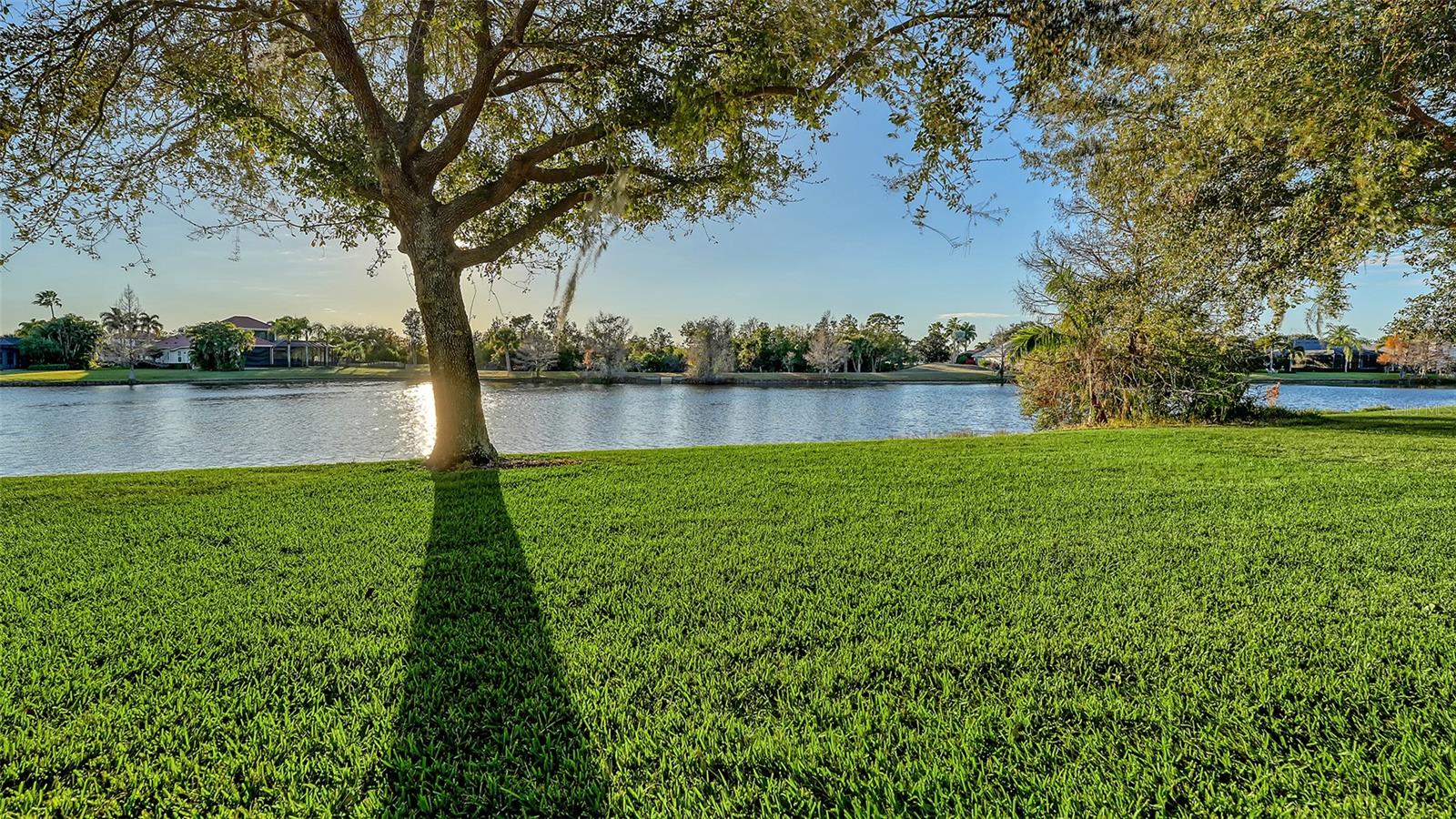 LAKEWOOD RANCH COUNTRY CLUB VILLAGE M&N - Residential