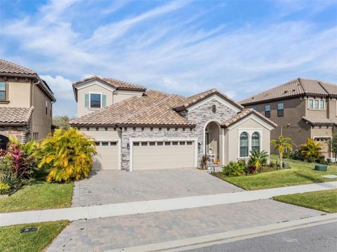 A home in RIVERVIEW