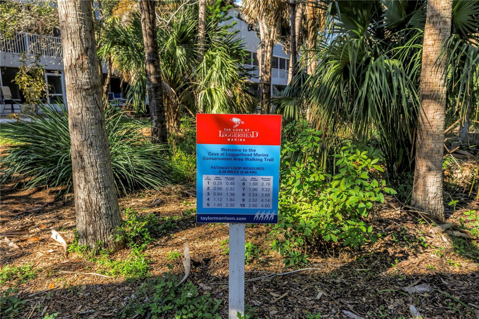COVE AT LOGGERHEAD MARINA - Residential