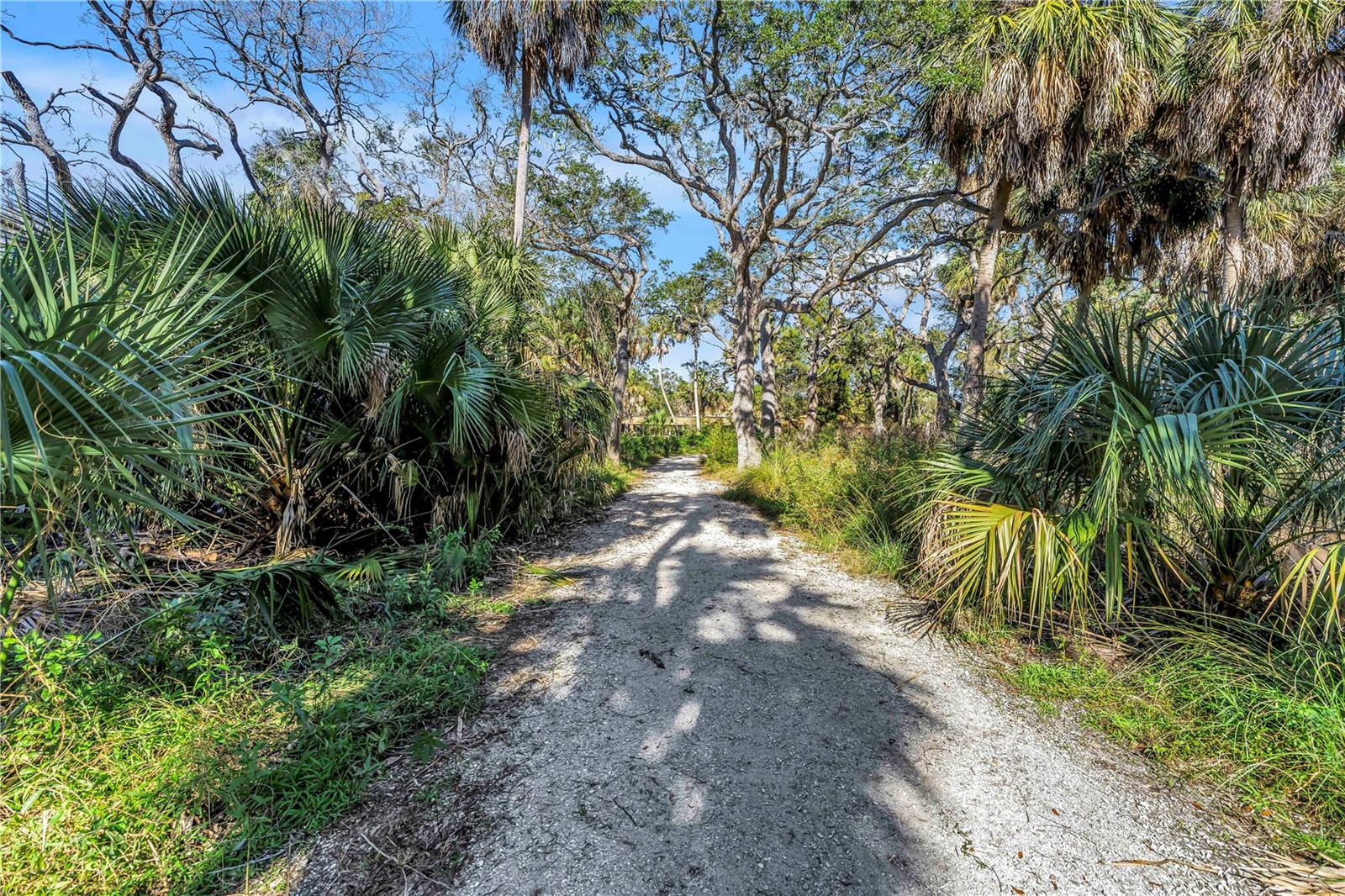 COVE AT LOGGERHEAD MARINA - Residential