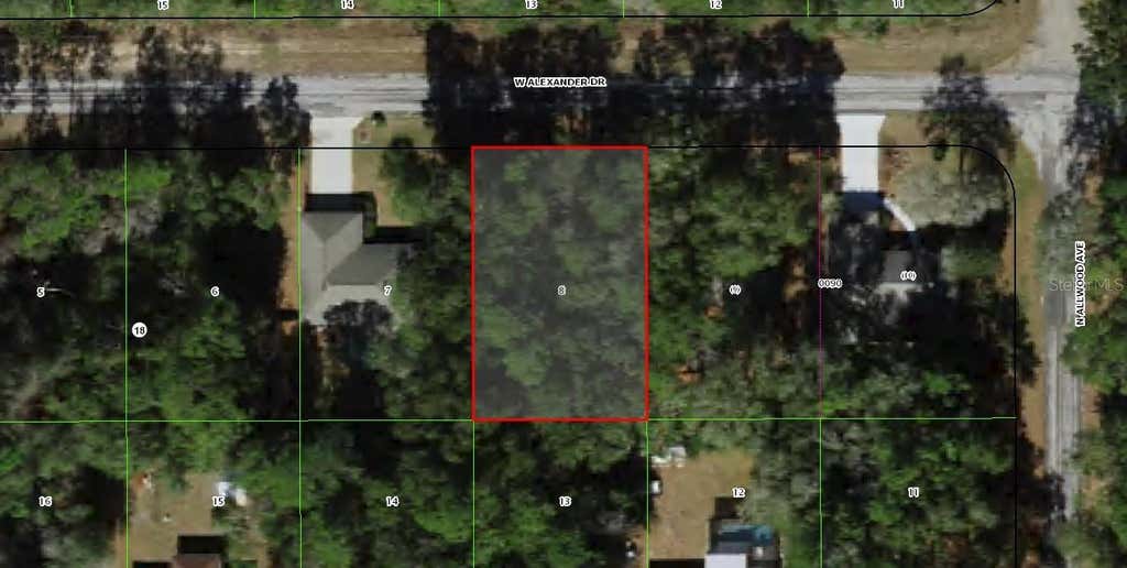 Photo of 1588 W Alexander Drive, Citrus Springs, FL 34434 (MLS # OM730479)