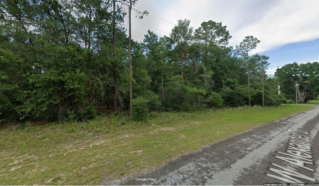 Photo of 1588 W Alexander Drive, Citrus Springs, FL 34434 (MLS # OM730479)