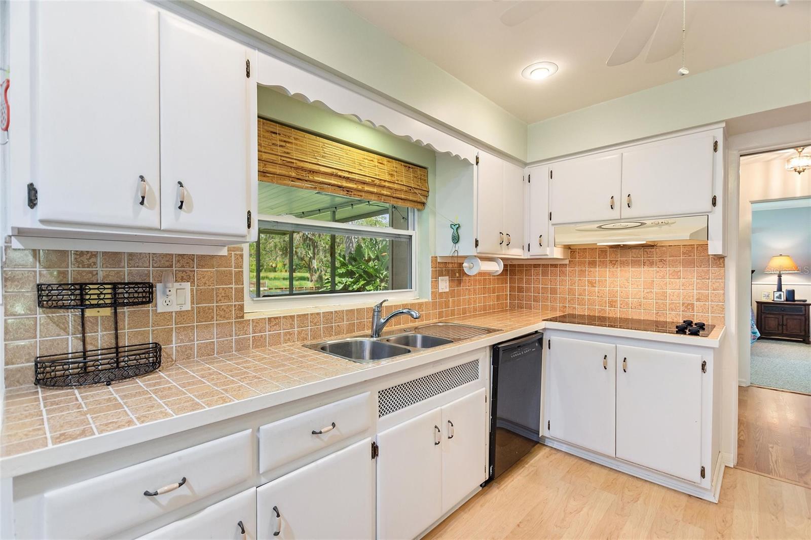 INDIAN LAKE ESTATES - Residential