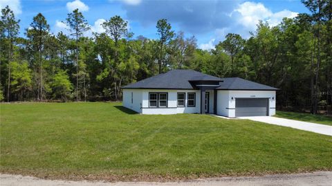 Photo of 10099 N Carib Way, Citrus Springs, FL 34434 (MLS # O6397077)