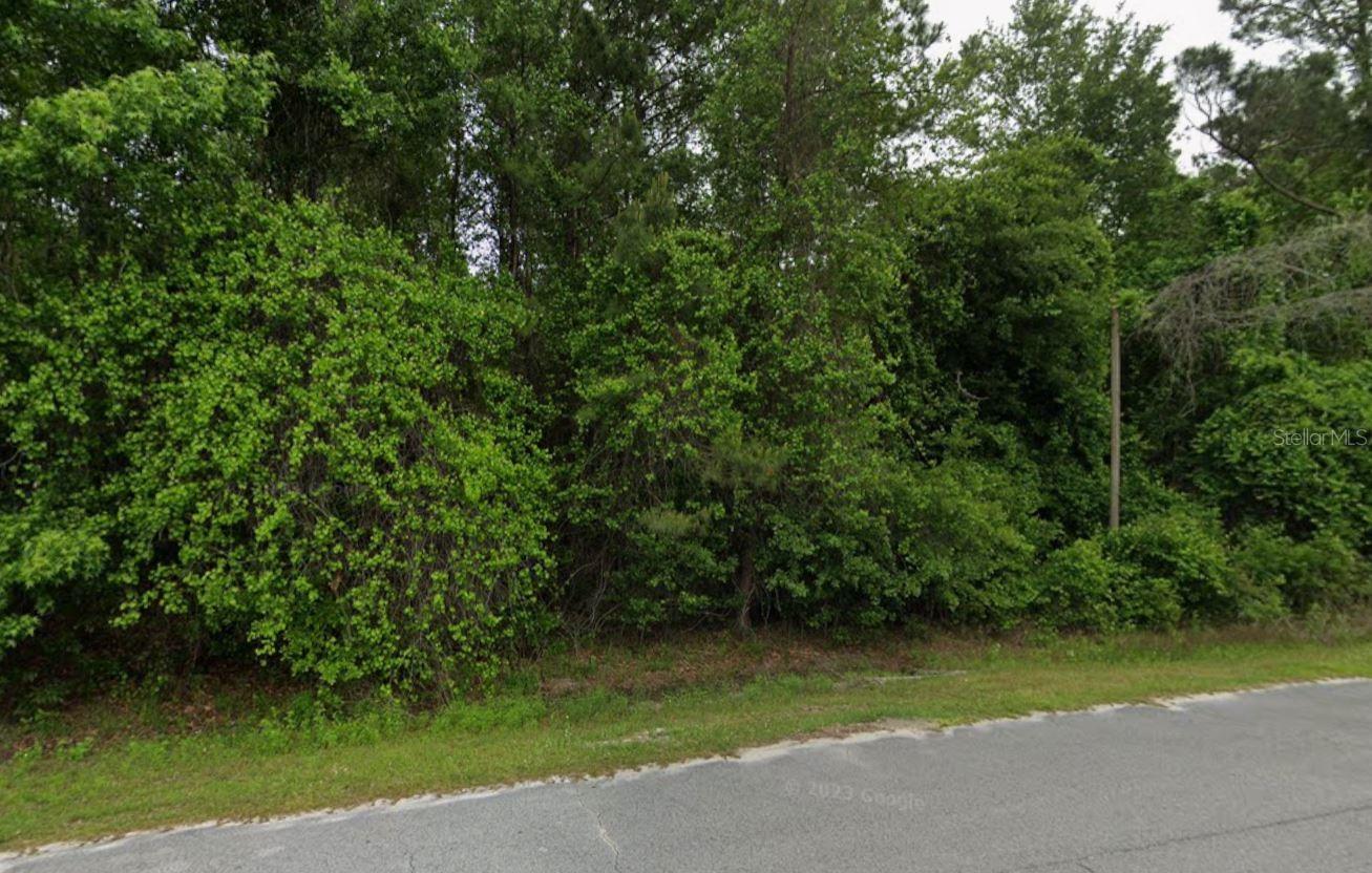 PINE FOREST SUB - Land