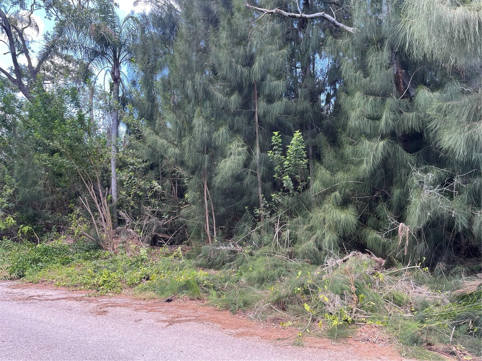 LEGION DRIVE