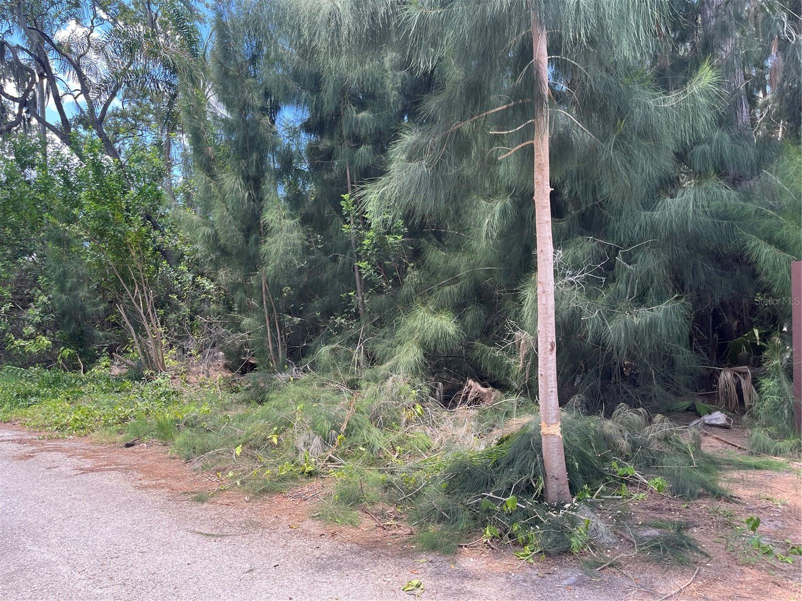 LEGION DRIVE