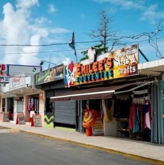 BO. FLORENCIO, CARR. 985 FAJARDO - Residential