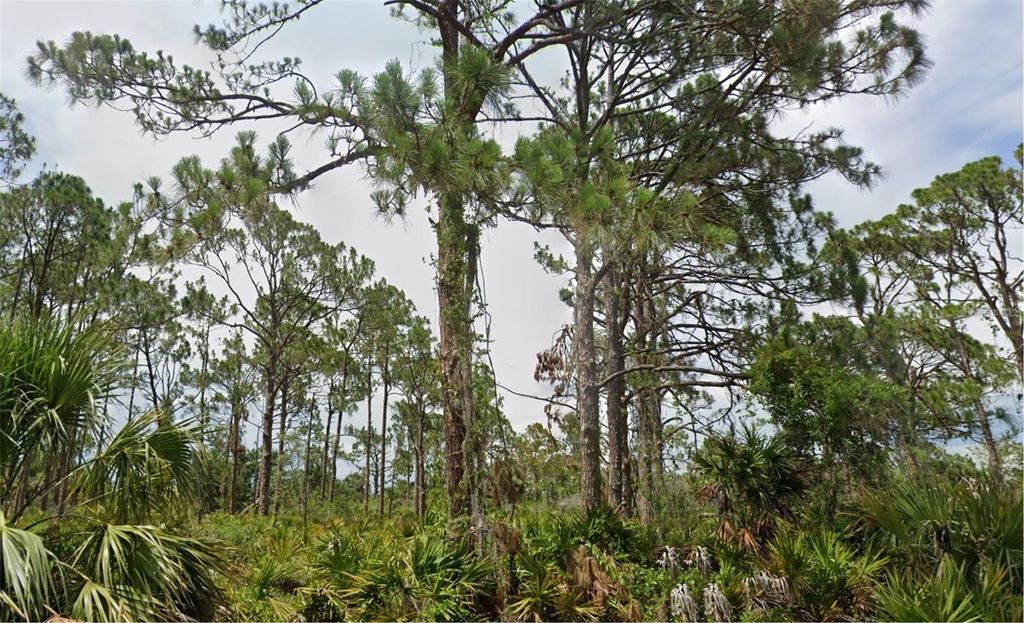 Photo of 13498 Fairbanks Avenue, Port Charlotte, FL 33953 (MLS # D6144175)