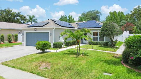 A home in VALRICO