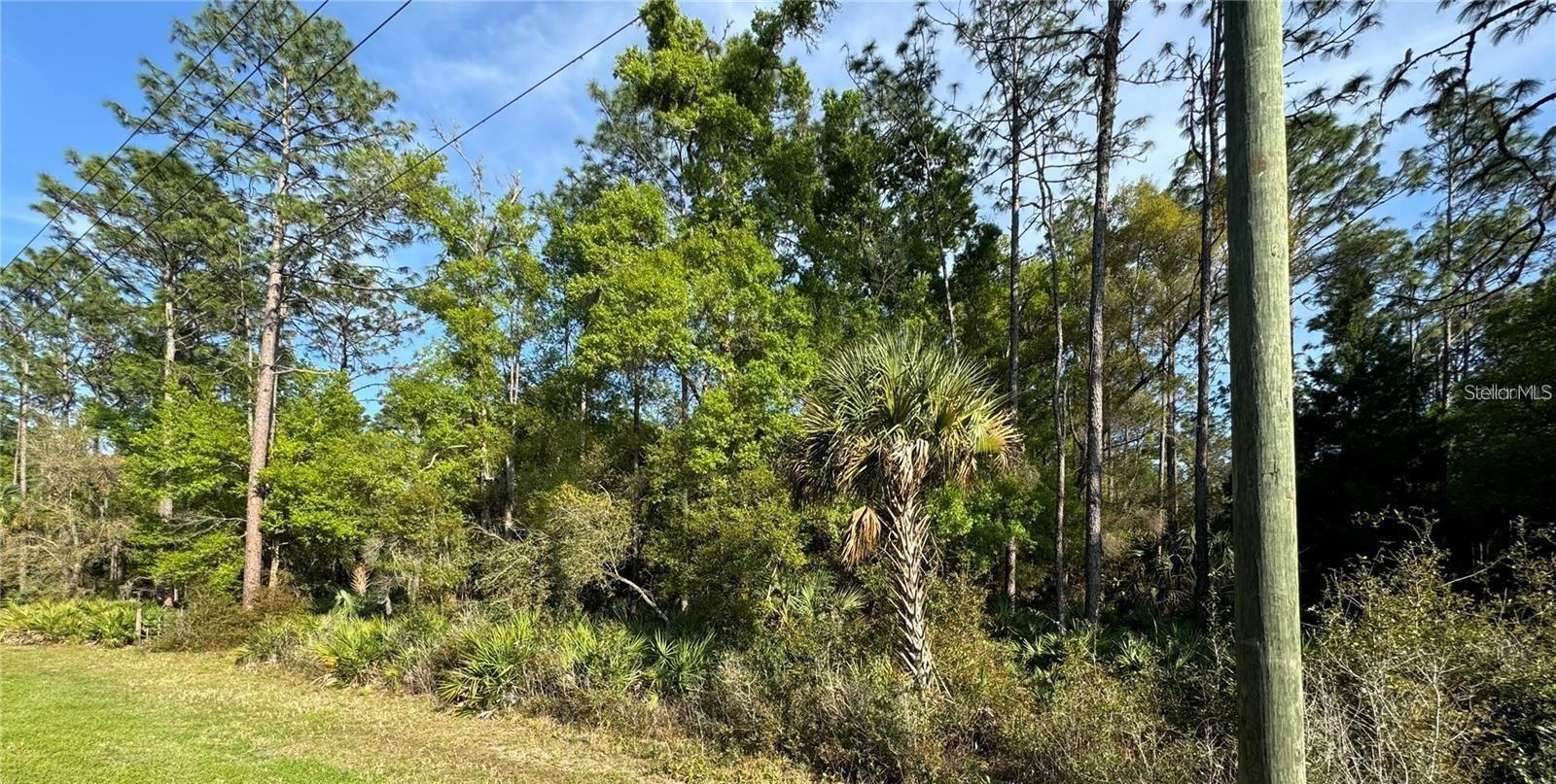 Crystal manor in Crystal River .57 acres waiting for you to build your dream home.Cllose to US 19 and 589 as well as beautiful Rainbow River.
Owner has 2 othe lots 10070 West Dunnellon Rd and 10058 West Dunnellon