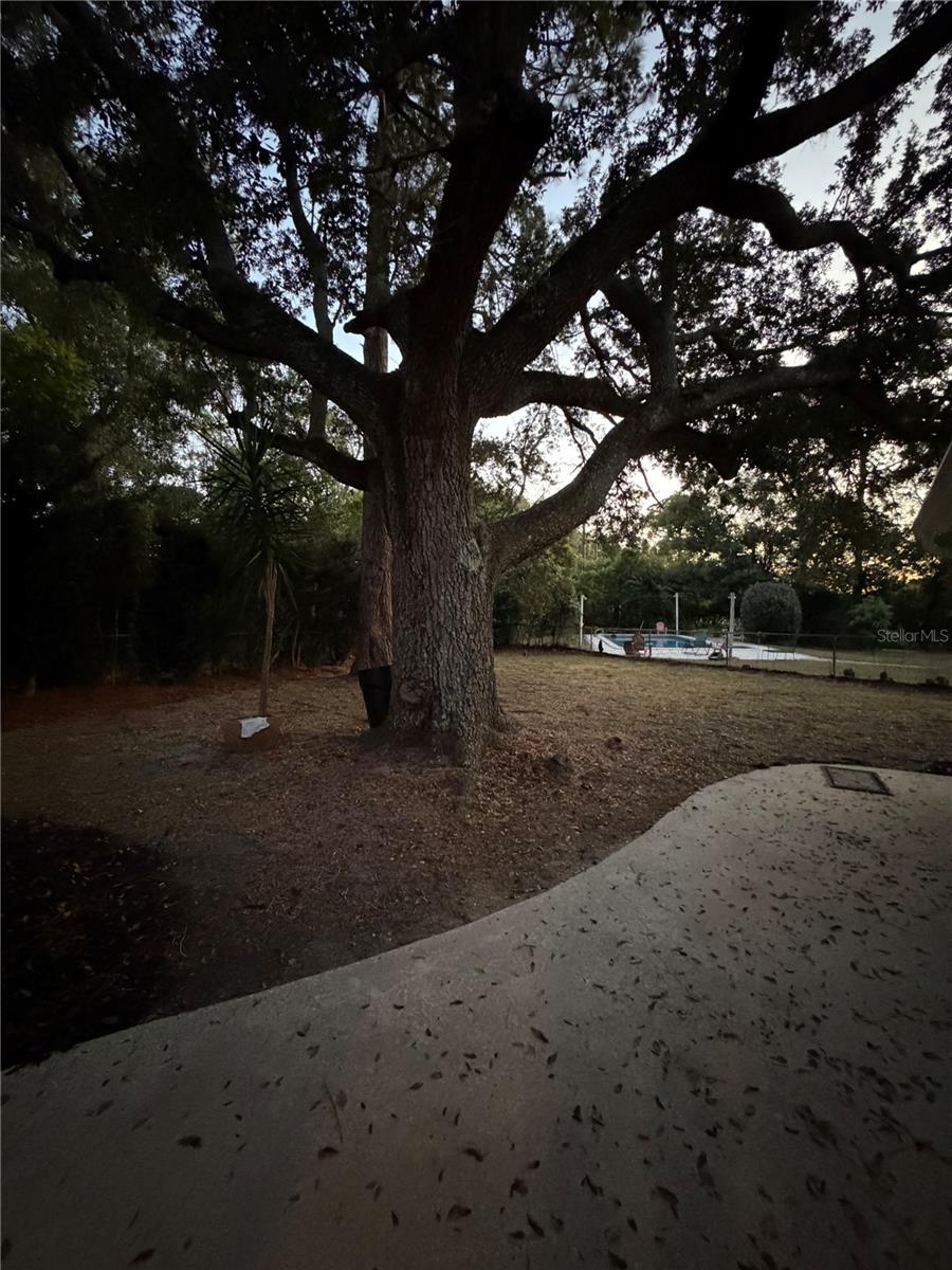 SPRING OAKS - Residential