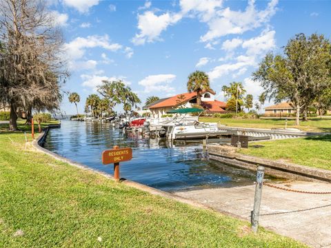 Tiny photo for 702 Clusterwood Drive, Yalaha, FL 34797 (MLS # TB8359735)