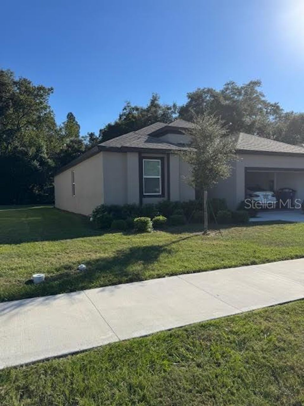 Photo of 34804 Mulrion Drive, Zephyrhills, FL 33541 (MLS # TB8442161)