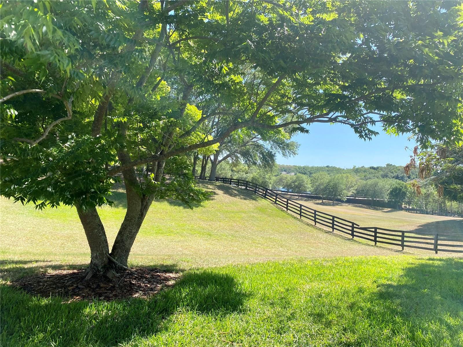 30732 LIPIZZAN TERRACE
