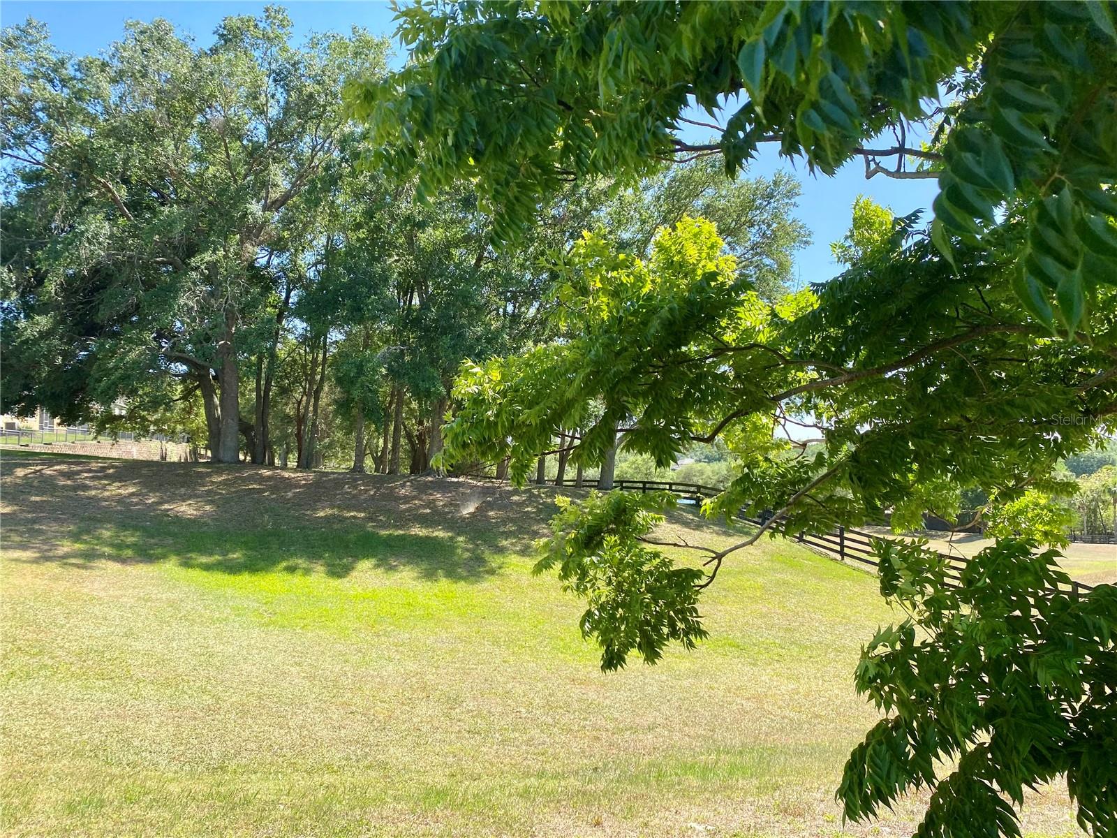 30732 LIPIZZAN TERRACE