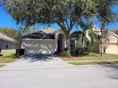 Photo of 30741 Pumpkin Ridge Drive, Wesley Chapel, FL 33543 (MLS # TB8448689)