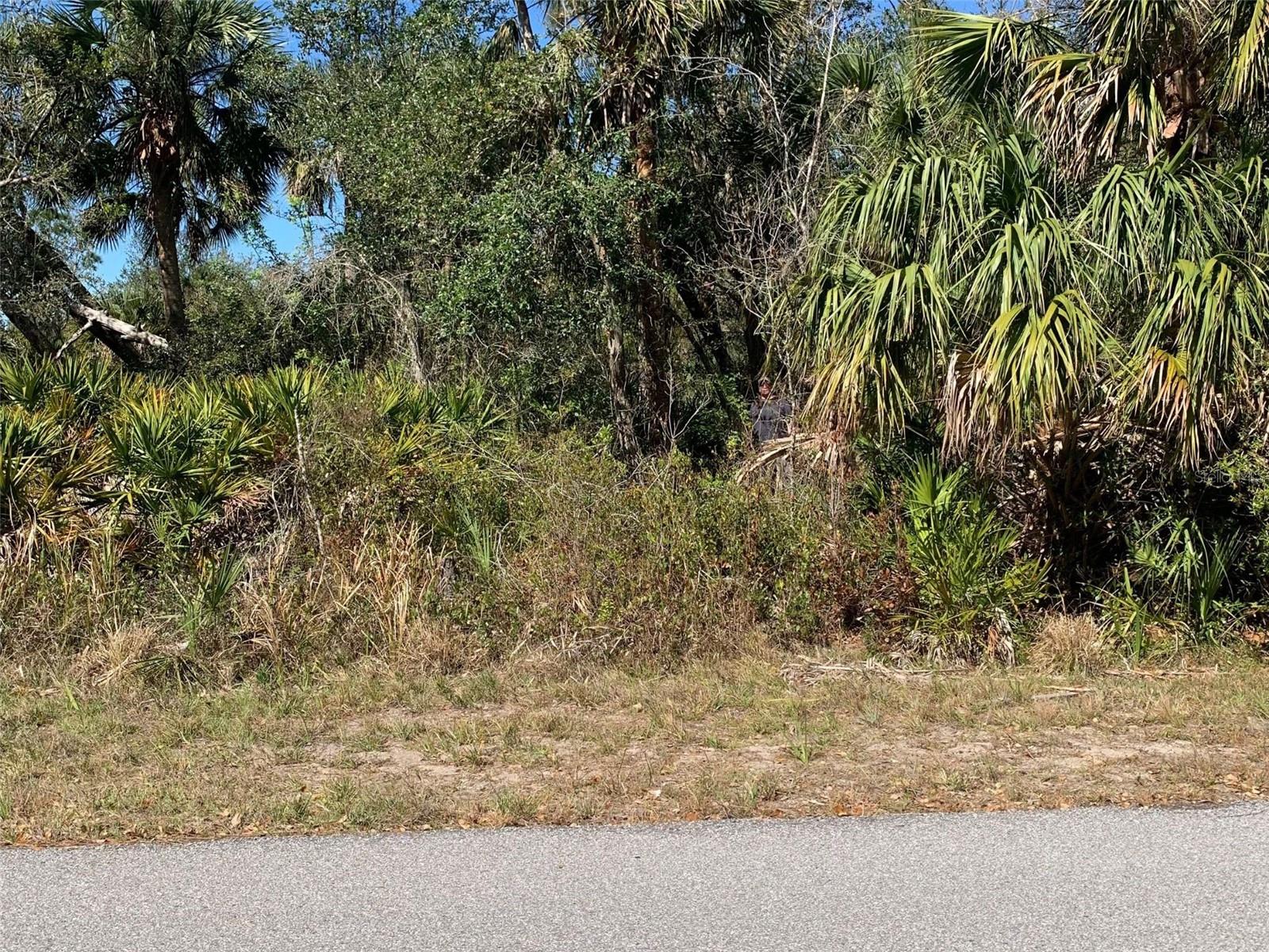 PORT CHARLOTTE - Land