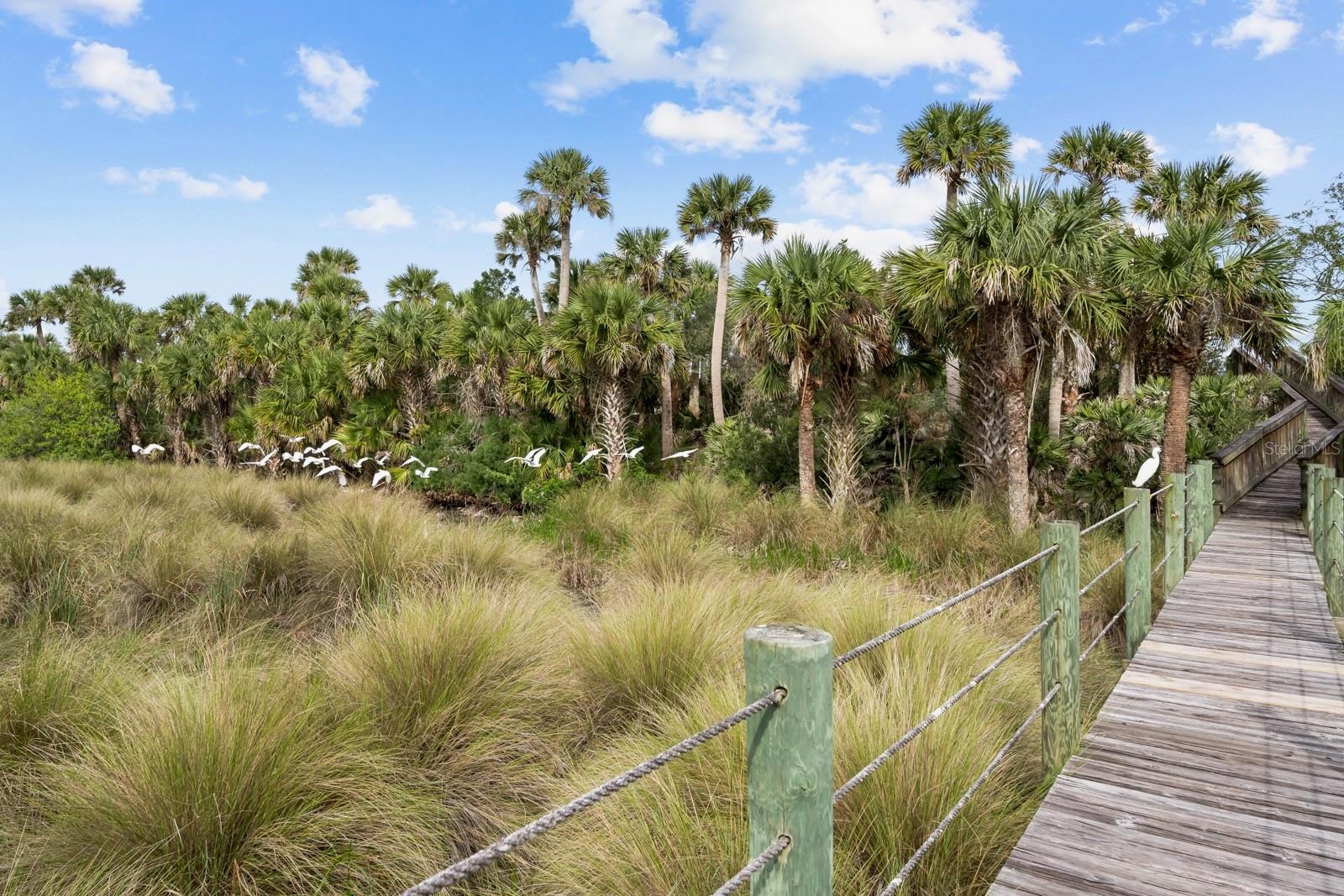 HAMMOCK DUNES - Residential